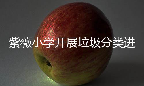 园活动开展小学垃圾紫薇进校分类